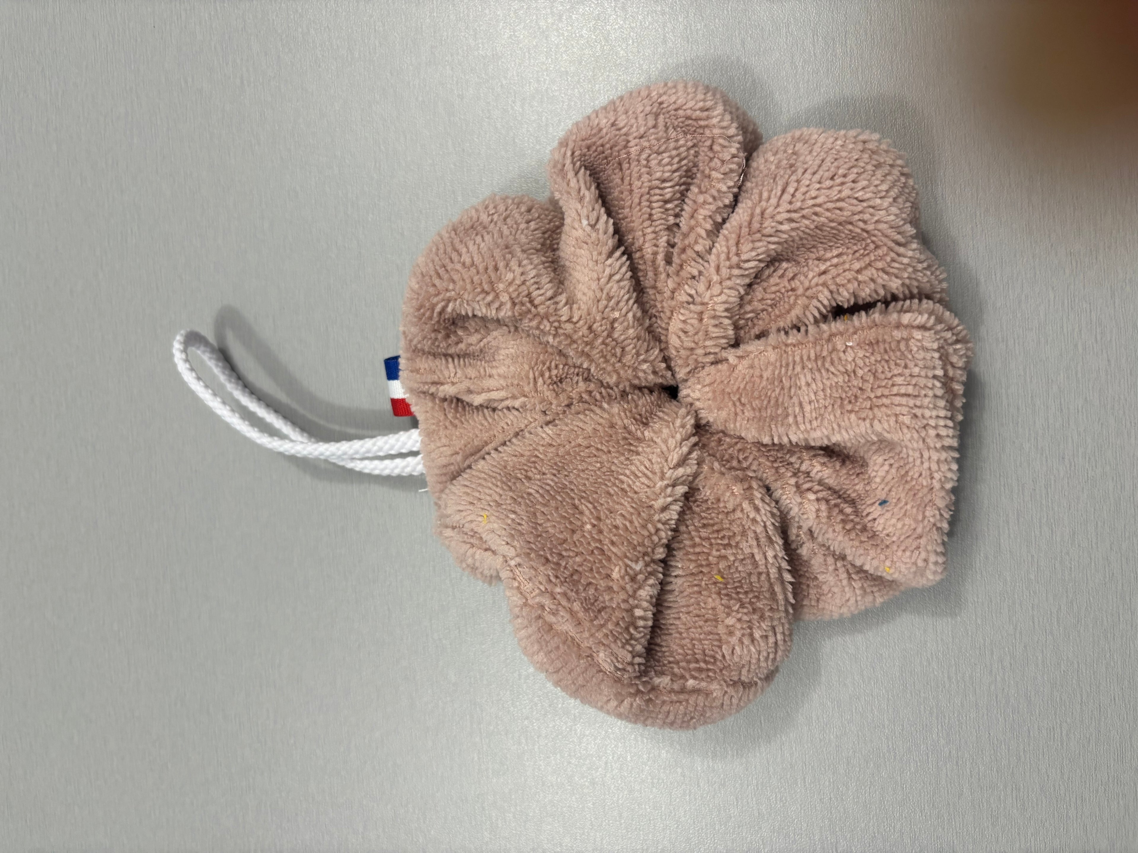 Fleur de douche
